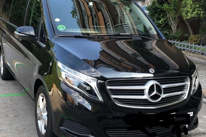 Barcelona Cruise port to barcelona city private transfer - Who This Transfer Fits Best