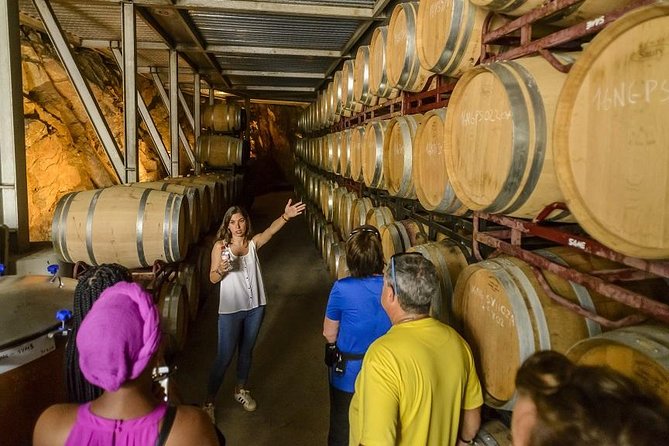 Barcelona eBike Beach Private Tour to Vineyards & Picnic - Alella winery day: cellar tour and a four-wine tasting