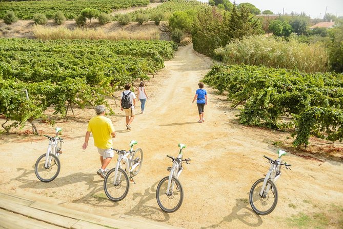 Barcelona eBike Beach Private Tour to Vineyards & Picnic - Picnic lunch: included, but keep expectations realistic