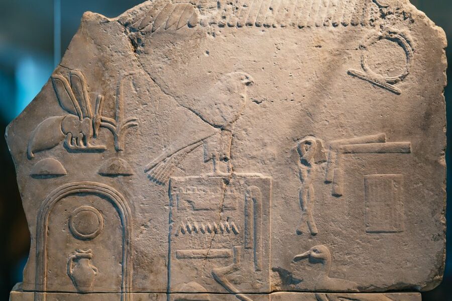 Barcelona Egyptian Museum Tickets - Accessibility and Comfort for Different Visitors