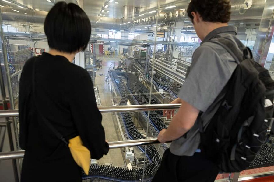 Barcelona: Estrella Damm Brewery Guided Tour with Tasting - The guide and languages: English and Spanish tours, with explanations that land