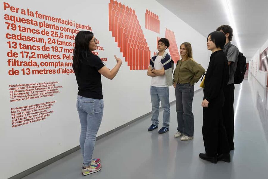 Barcelona: Estrella Damm Brewery Guided Tour with Tasting - Price and value: $17 for beer history, factory access, and snacks