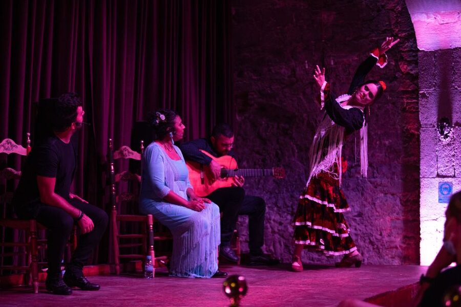 Barcelona: Flamenco Show at Palau Dalmases - Key highlights to know before you go
