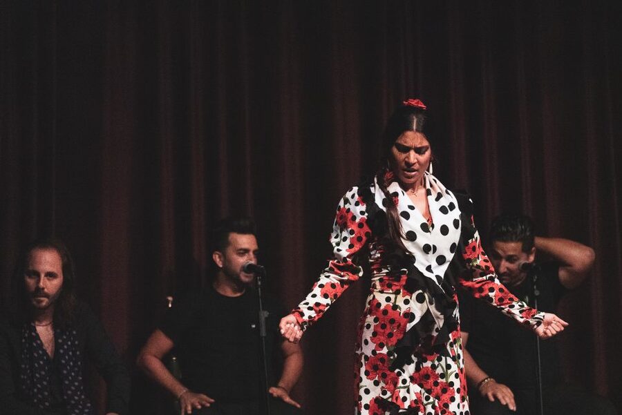 Barcelona: Flamenco Show at Palau Dalmases - Why Palau Dalmases makes flamenco feel personal