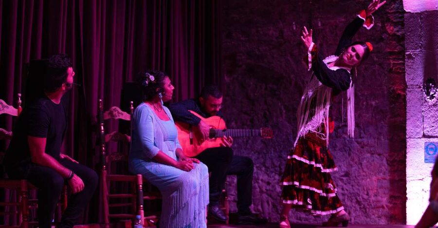 Barcelona: Flamenco Show at Palau Dalmases - Your seat choices: VIP, Zone A, and Zone B