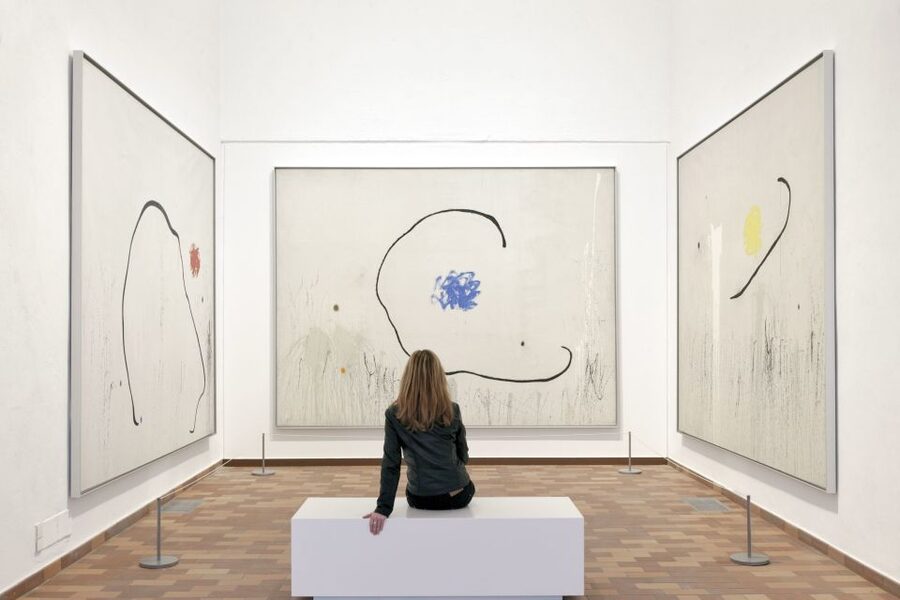 Barcelona: Fundació Joan Miró Skip-the-Line Entry Ticket - Price and Value: Is $8 Worth It in Barcelona?