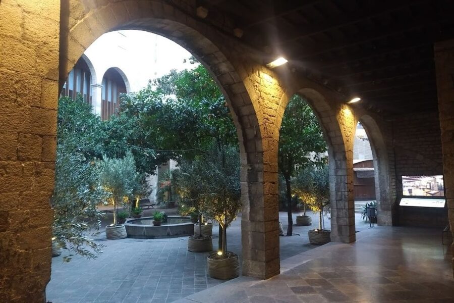 Barcelona: Gothic Quarter Walking Tour with Optional Pintxos - Pintxos Upgrade: One Drink and Two Bites to Finish Strong
