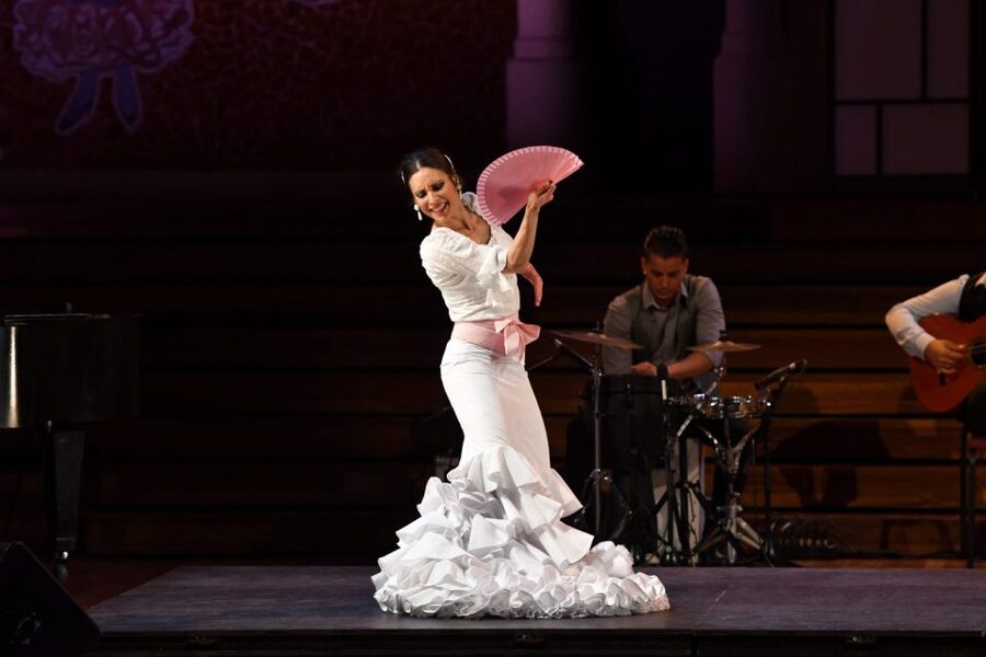 Barcelona: Gran Gala Flamenco Show Entry Ticket - Should you book the Barcelona Gran Gala Flamenco ticket?