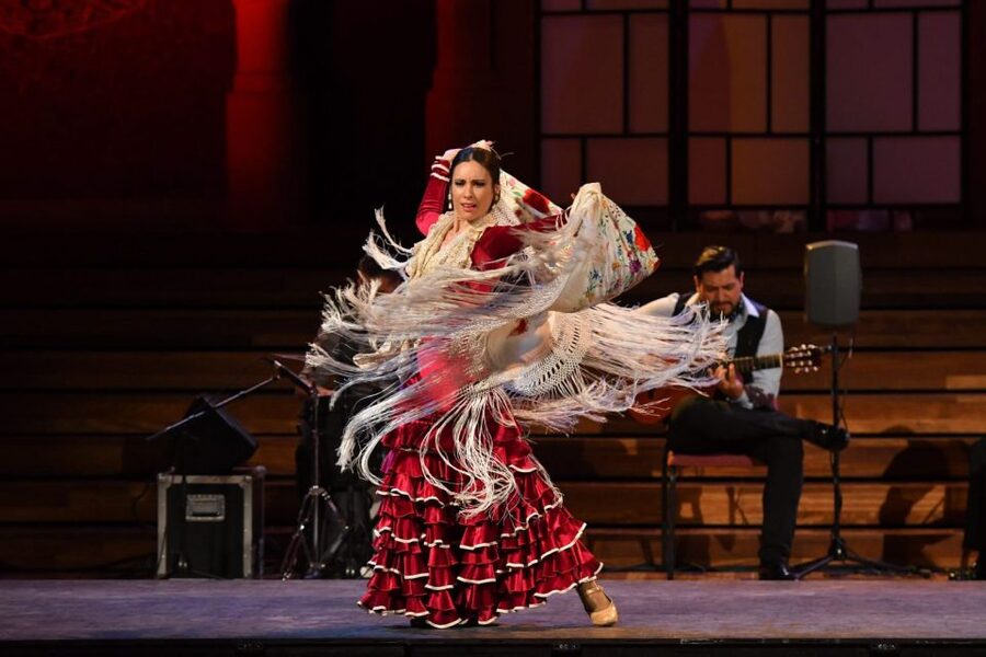 Barcelona: Gran Gala Flamenco Show Entry Ticket - Palau de la Música Catalana vs Teatre Poliorama: how to choose