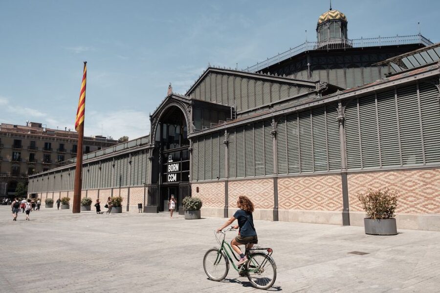 Barcelona: Guided Bike or E-Bike City Tour - Plaça del Rei, Barcelona Cathedral, and Palau de la Música Catalana on Your Route