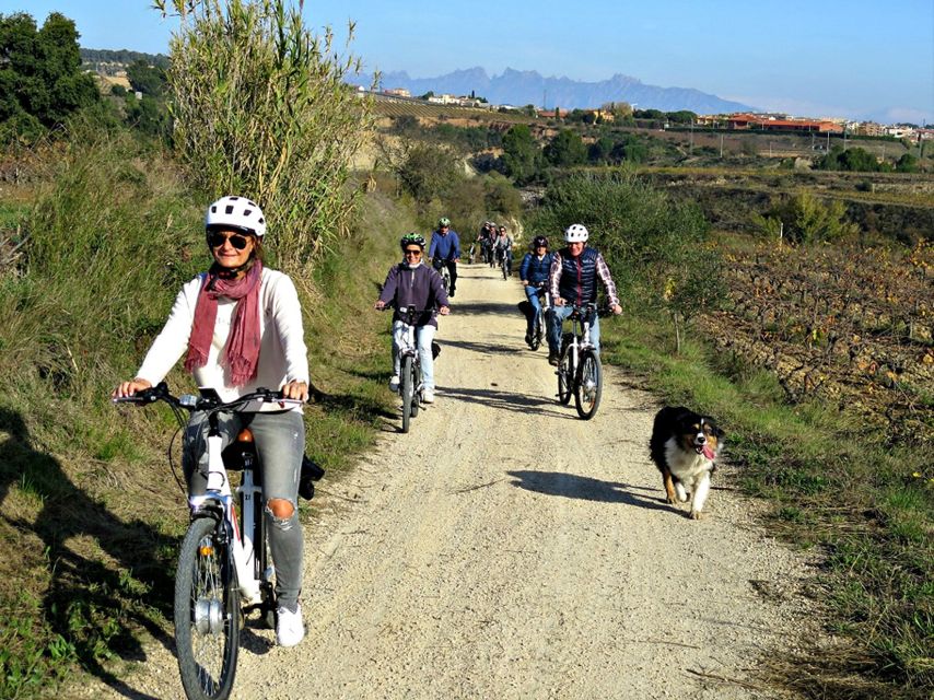 Barcelona: Guided Half-Day Wine and Electric Bike Tour - Getting to Lavern-Subirats: The Logistics That Make or Break the Morning