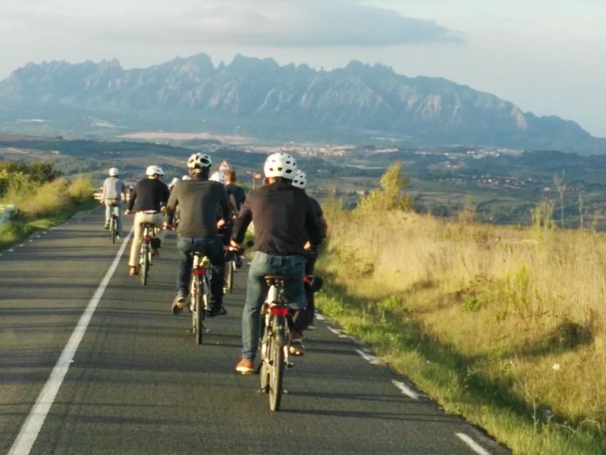 Barcelona: Guided Half-Day Wine and Electric Bike Tour - The Tasting: What You Get From 3 Glasses of Wine and Cava