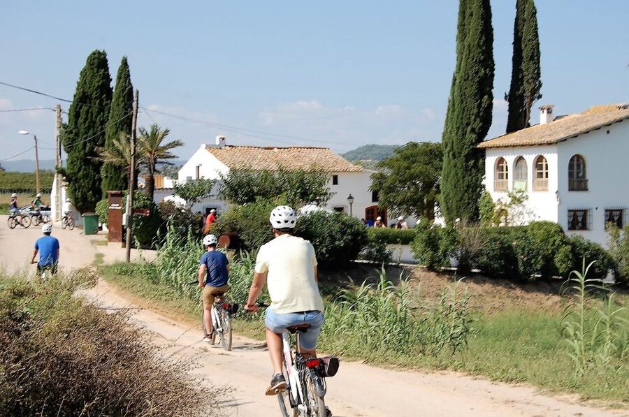 Barcelona: Guided Half-Day Wine and Electric Bike Tour - Guides, Names, and the Small Group Advantage (Max 12)