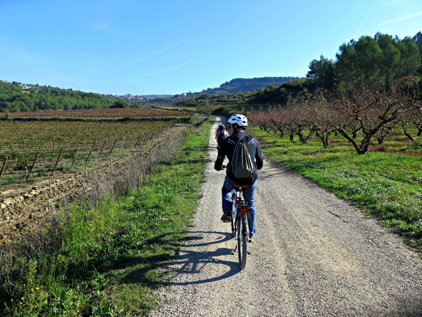 Barcelona: Guided Half-Day Wine and Electric Bike Tour - What to Wear and Bring for a Comfortable Ride