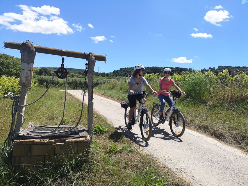 Barcelona: Guided Half-Day Wine and Electric Bike Tour - Who This Tour Fits Best, and Who Should Skip It