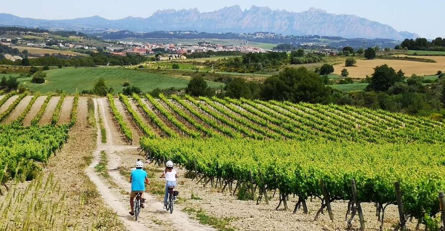 Barcelona: Guided Half-Day Wine and Electric Bike Tour - Your E-Bike Route: Vineyards, Forest Sections, and Stops for Stories