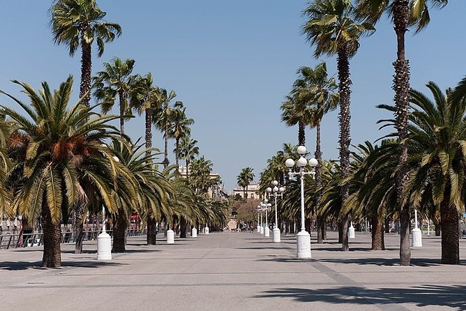Barcelona Half-Day Sightseeing Private Tour - Stop 2: Sagrada Familia, why the timed ticket is the whole game