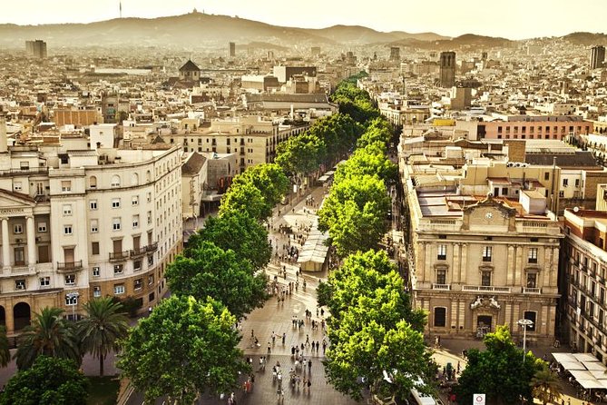 Barcelona Half-Day Sightseeing Private Tour - Pickup, vehicle, and how the day is paced