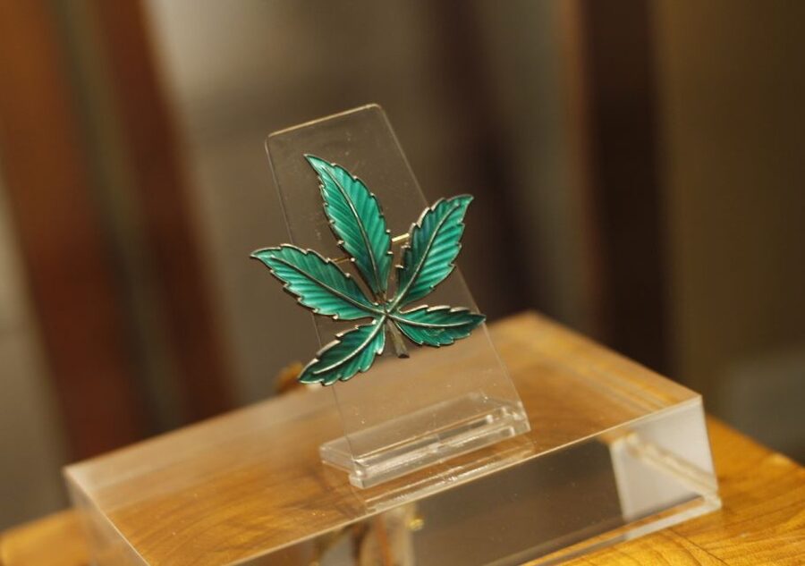Barcelona: Hash Marihuana & Hemp Museum Entry Ticket - Key Things I’d Pin To The Top