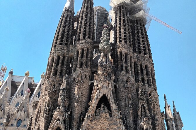 Barcelona Highlights Bike Tour - El Born Medieval Layers: Ruins, Santa Maria del Mar, and Streets with Story