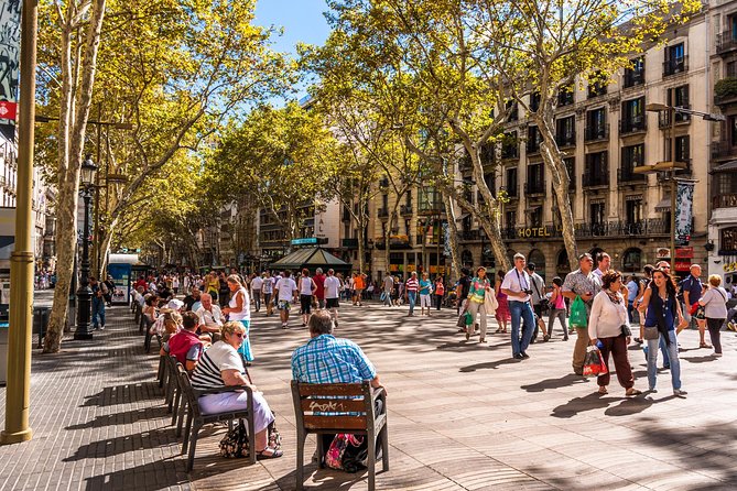 Barcelona Highlights Private Guided Tour with Hotel Pick-up - How a private 4-hour highlights tour helps you get oriented fast