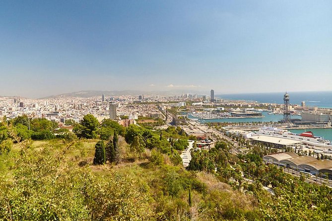 Barcelona Highlights Private Tour - The driver role: comfort, context, and local guidance