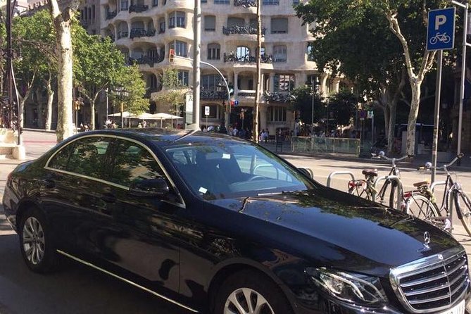 Barcelona Highlights Private Tour with Port or Hotel Transfers - Common tradeoffs to know before you set expectations