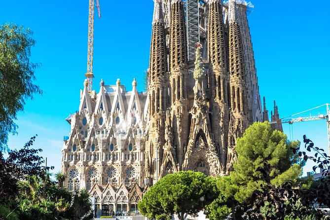 Barcelona Highlights & Sagrada Familia Tour: Priority Access - Montjuïc Hill for City Panoramas and Olympic-Era Views