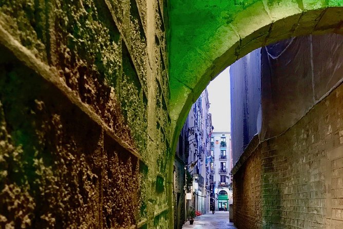 Barcelona Historic Walking Tour and Food Experience - Gothic Quarter and El Born: narrow lanes, palaces, and churches