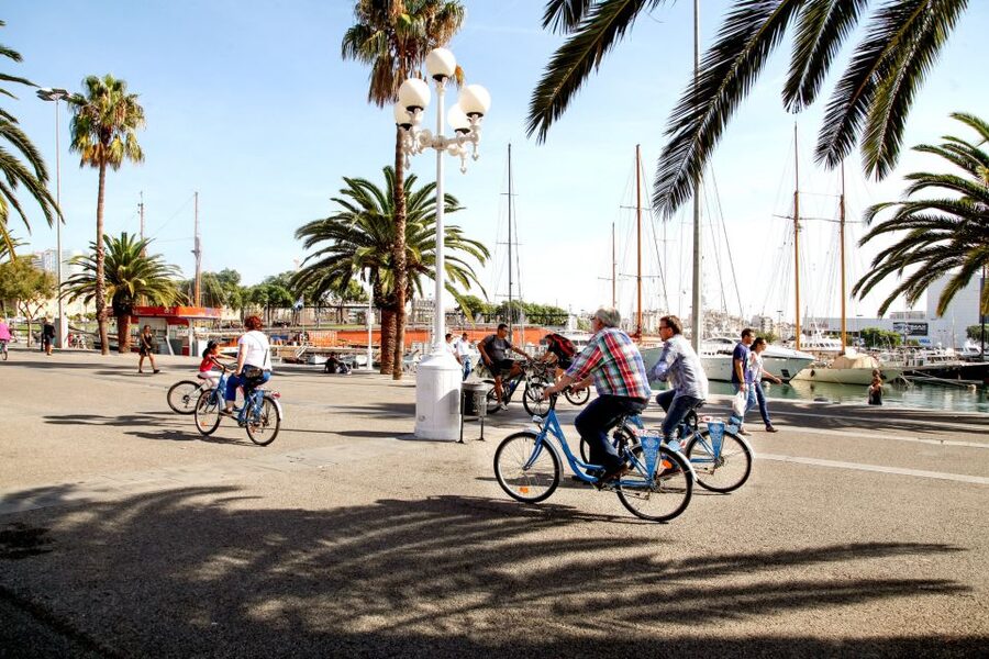 Barcelona Historical 3-Hour Bike Tour - El Born and Parc de la Ciutadella: neighborhood charm plus green space