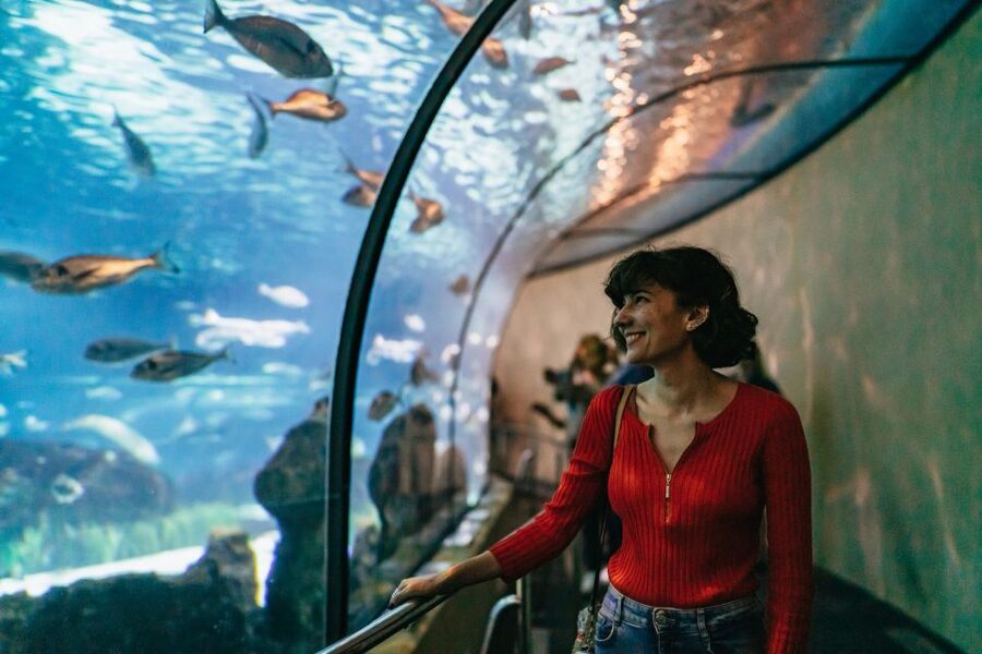 Barcelona: Hop-On Hop-Off Bus & Aquarium Tour - Plaça Catalunya Start Point, Routes, and Timing That Actually Works