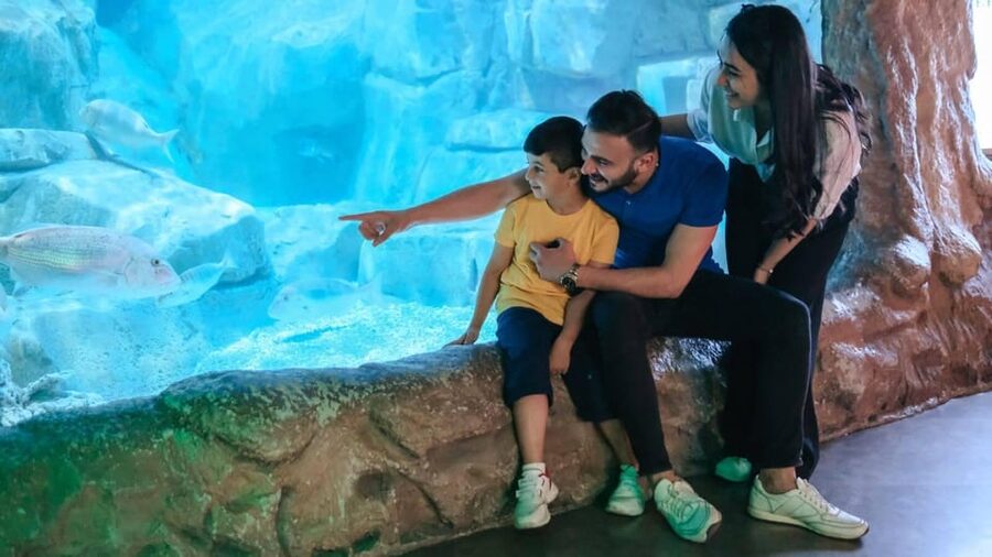 Barcelona: Hop-On Hop-Off Bus & Aquarium Tour - Orange Route Sights: Miró, MNAC, Camp Nou, La Pedrera, Sagrada Familia, Port Vibes