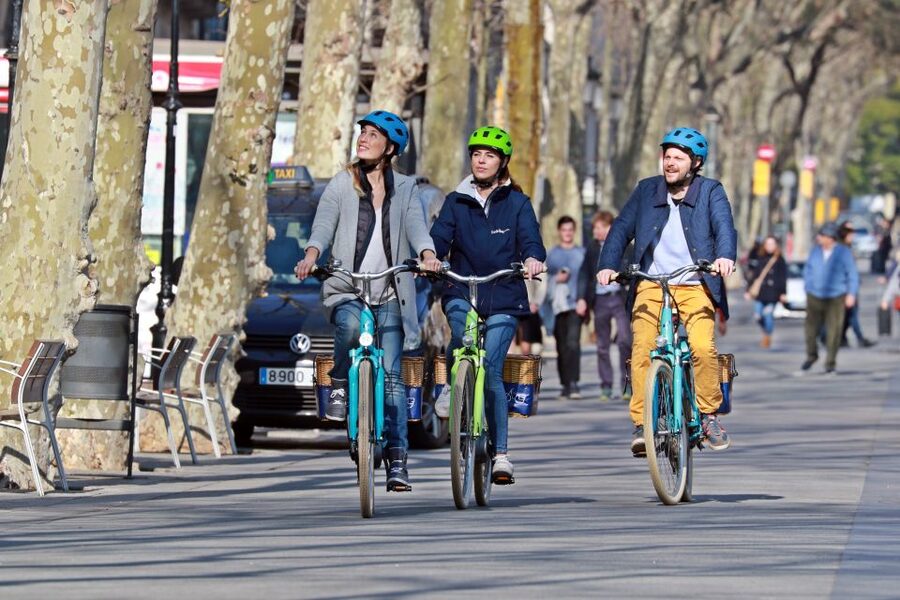 Barcelona: Montjuic Hill E-Bike Tour - National Palace Terraces for 360-Degree Views: The Best Payoff Per Minute