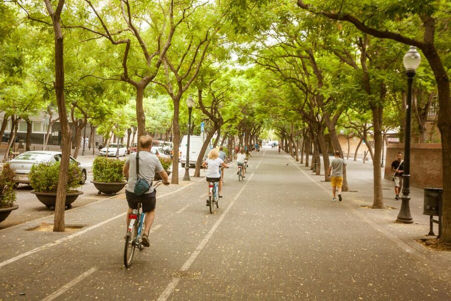 Barcelona Montjuic Three-Hour Bike Tour - What to watch for: bike effort, hill limits, and group pace