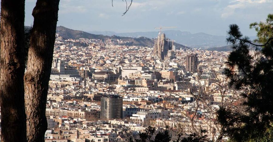 Barcelona: Montjuïc Walking Tour With Optional Flamenco Show - Getting Oriented at Montjuïc Castle (and why the stairs matter)