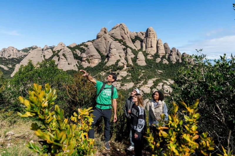 Barcelona: Montserrat Hike, Nature & Monastery, Semi-Private - Key highlights worth waking up for