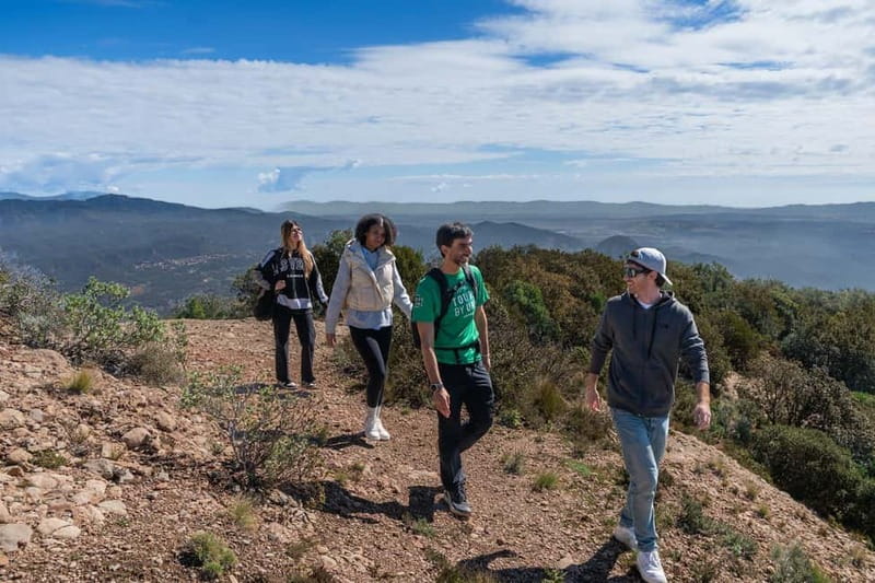 Barcelona: Montserrat Hike, Nature & Monastery, Semi-Private - Montserrat Abbey and the Black Madonna, not just a viewpoint