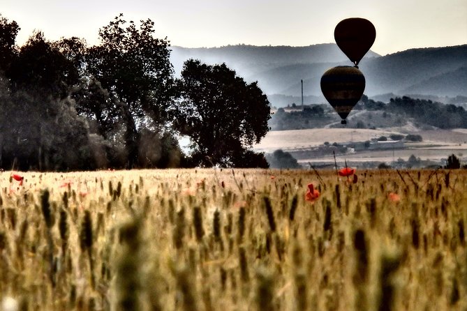 Barcelona: Montserrat Hot Air Balloon Ride with Champagne Toast - Before you fly: snacks and a guide who handles details