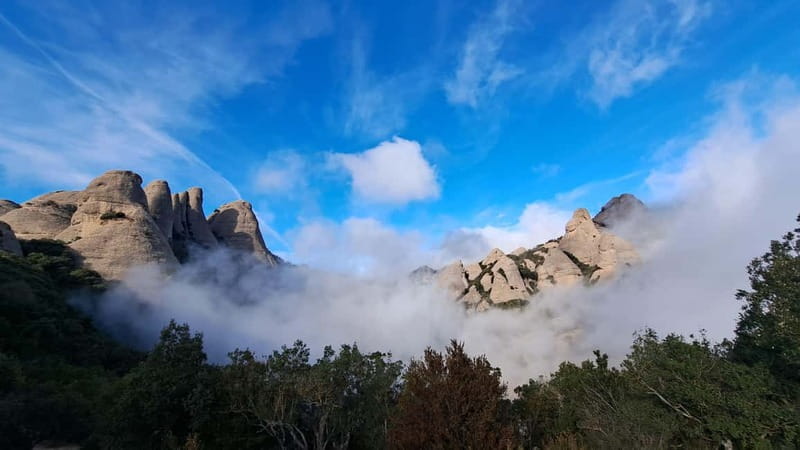 Barcelona: Montserrat Monastery and Natural Park Guided Tour - Montserrat National Park walk: flora, fauna, and geology lessons