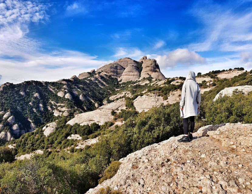 Barcelona: Montserrat Private Tour for Families with Pickup - Natural Park walking: views, wildlife, and a guide who adjusts