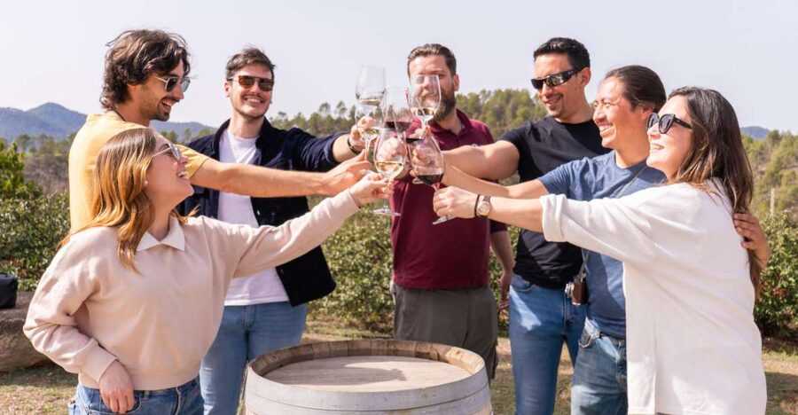 Barcelona: Montserrat, Winery Tour & Lunch with Wine Tasting - Key things I’d focus on