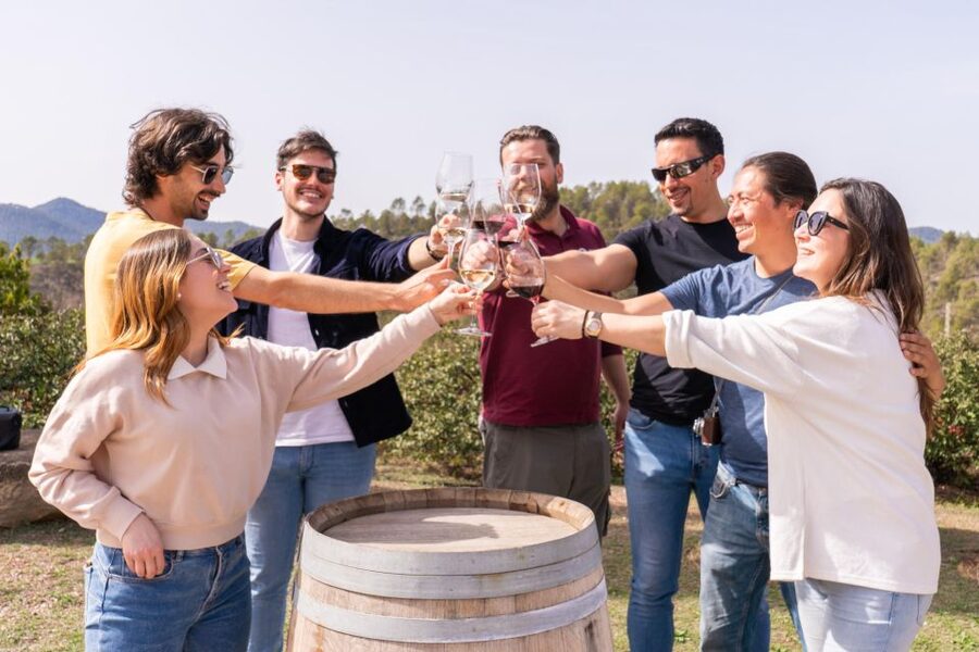 Barcelona: Montserrat, Winery Tour & Lunch with Wine Tasting - Riding the cogwheel train up to Montserrat