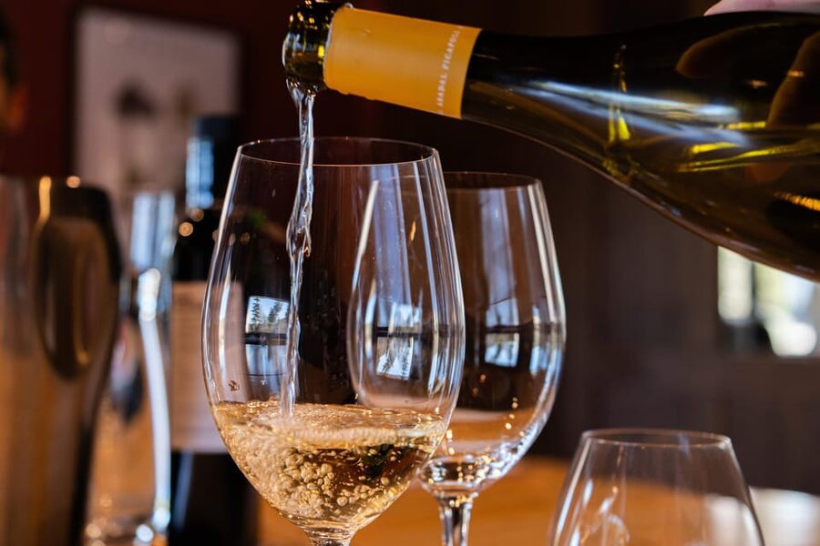 Barcelona: Montserrat, Winery Tour & Lunch with Wine Tasting - Price and value: is $128 a fair deal?