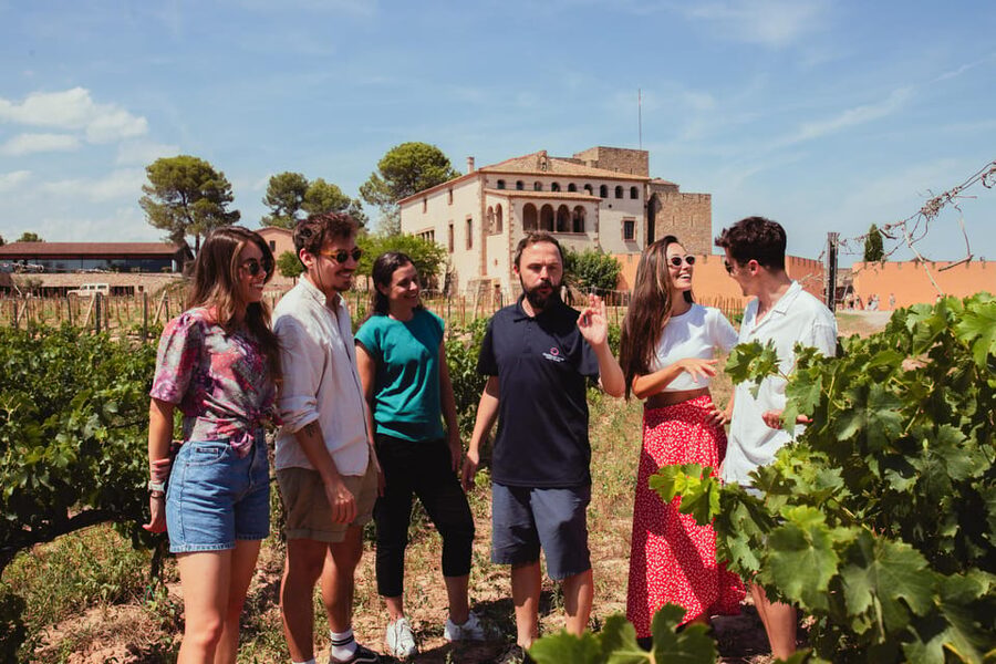 Barcelona: Montserrat with Winery, Lunch, and Train Options - The cogwheel train ride: when it is worth it and how to time it