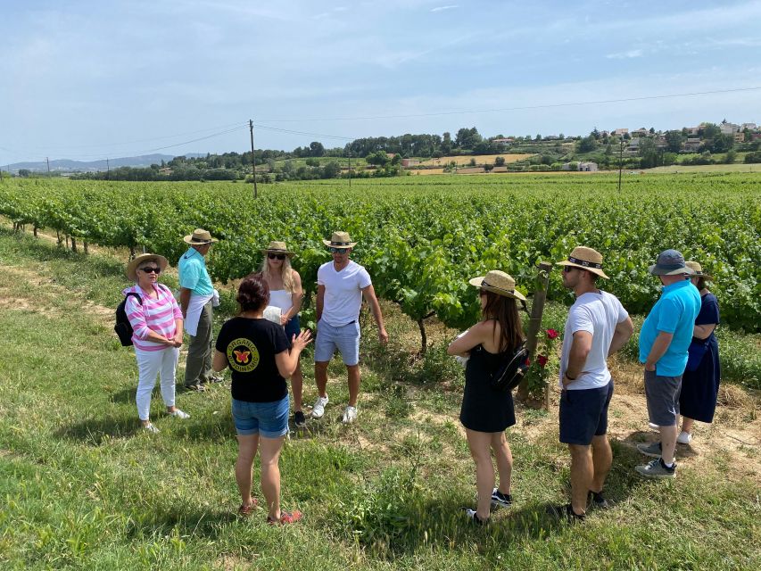 Barcelona: Montserrat with Winery Visit and Farmhouse Lunch - Free Time on Montserrat: Trails, Chapels, and the Choose-Your-Own-Stamina Plan
