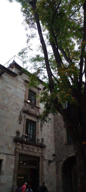 Barcelona: Mystical Walking Tour in the Gothic Quarter - Starting at Plaça de Sant Jaume, outside Starbucks
