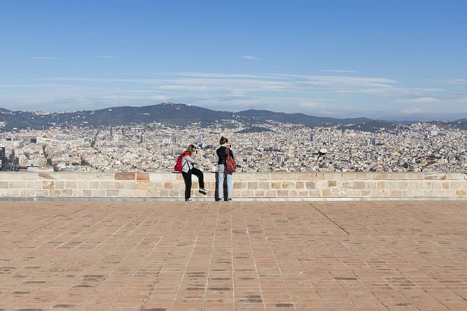 Barcelona: Old Town, Montjuic Castle, Cable Car Small Group Tour - Raval district and Botero’s Cat photo stop
