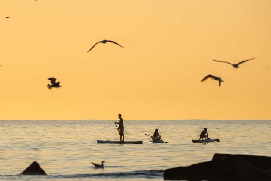 Barcelona: Paddlesurf Rental Barceloneta beach (75min) - Getting set up fast: lockers, vest room, shower, life jacket