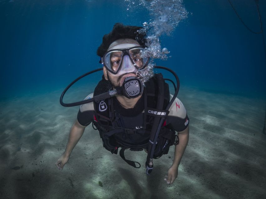 Barcelona: PADI Discover Scuba Diving - Value and Price: What $81 Buys You in Real Terms