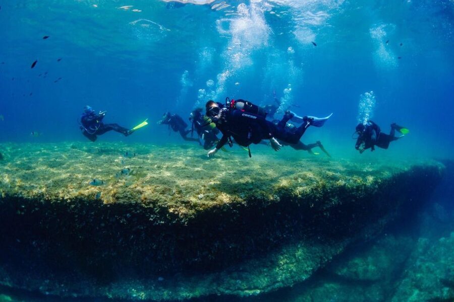 Barcelona: PADI Discover Scuba Diving - What You Might See Under the Waves Off Barcelona